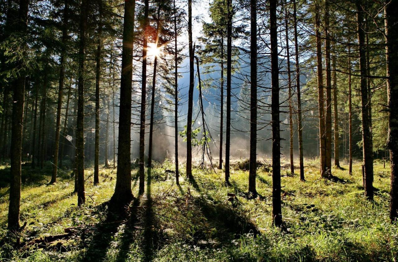 Ferienwohnung Pyhrgasblick Rosenau am Hengstpass Buitenkant foto