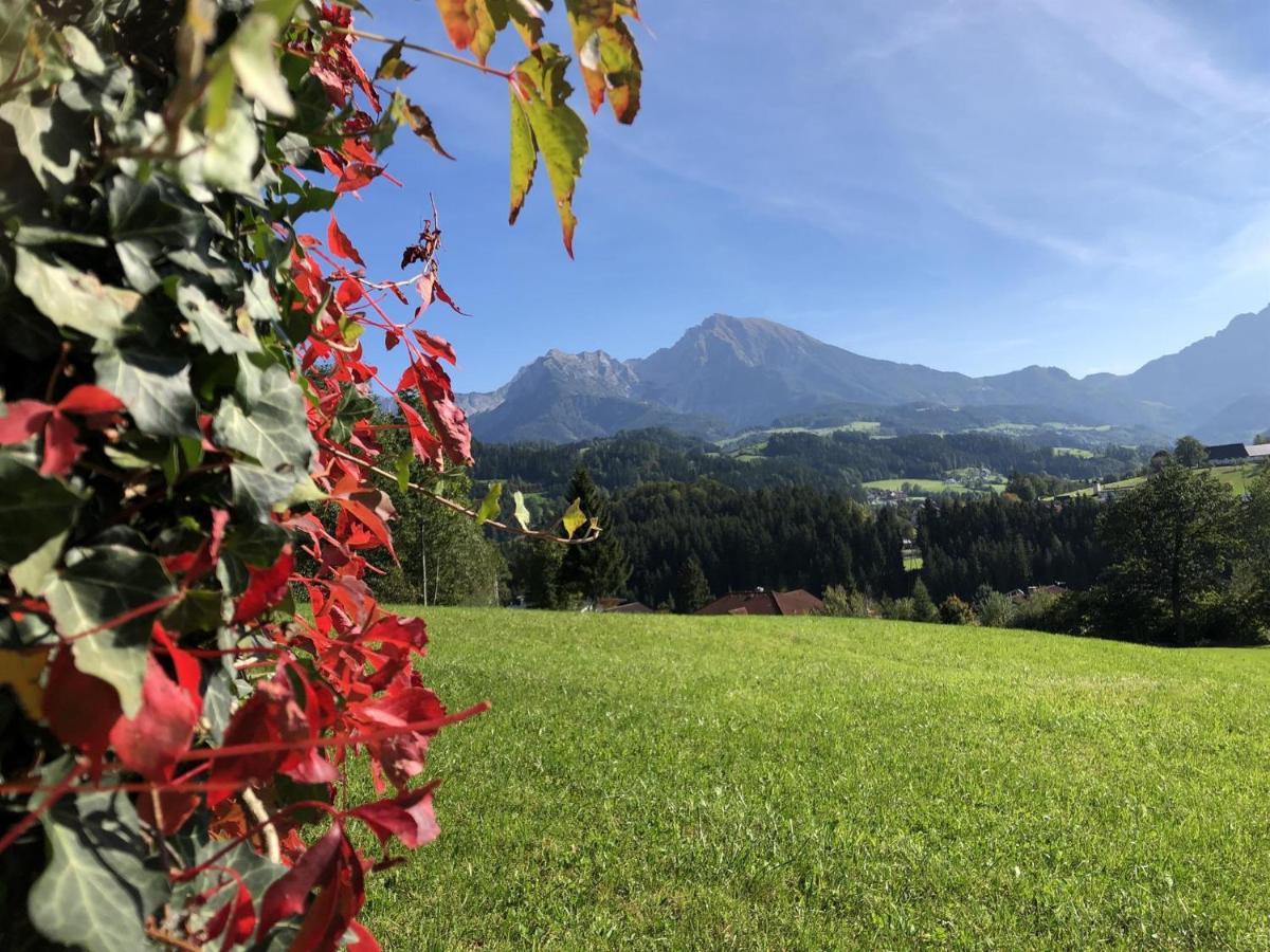 Ferienwohnung Pyhrgasblick Rosenau am Hengstpass Buitenkant foto