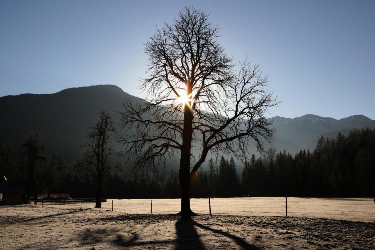 Ferienwohnung Pyhrgasblick Rosenau am Hengstpass Buitenkant foto