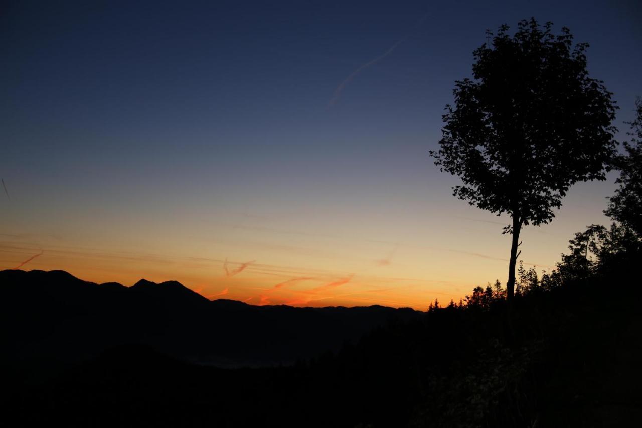 Ferienwohnung Pyhrgasblick Rosenau am Hengstpass Buitenkant foto