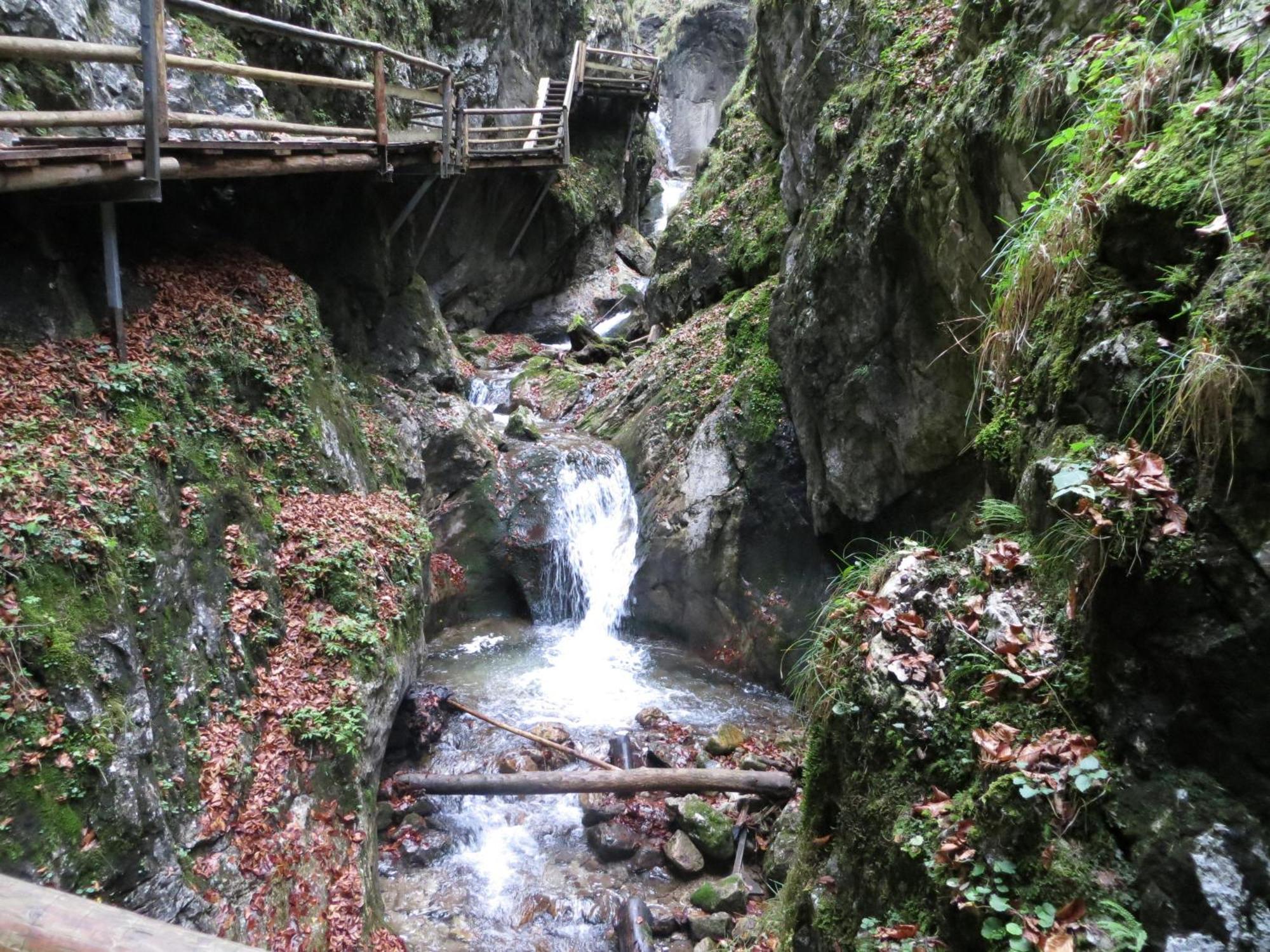 Ferienwohnung Pyhrgasblick Rosenau am Hengstpass Buitenkant foto